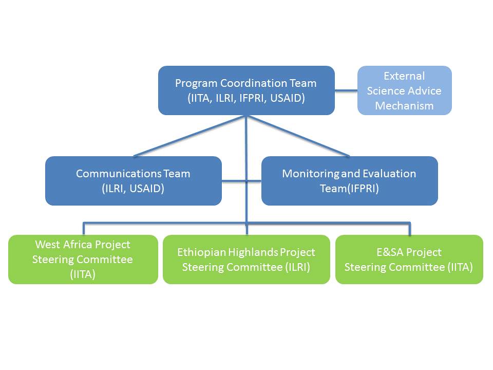 The Rise of Managed IT Services in the United States: A Focus on Phoenix Businesses