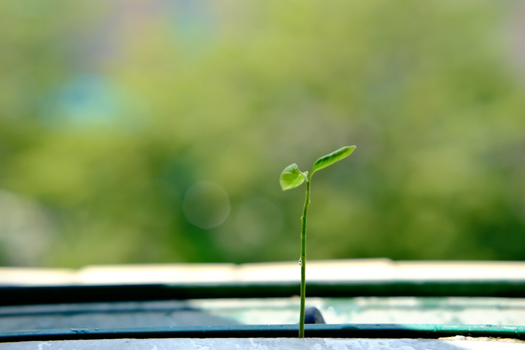 Enhancing Business Growth with Expert Web Site Design and Cloud Services in Scottsdale