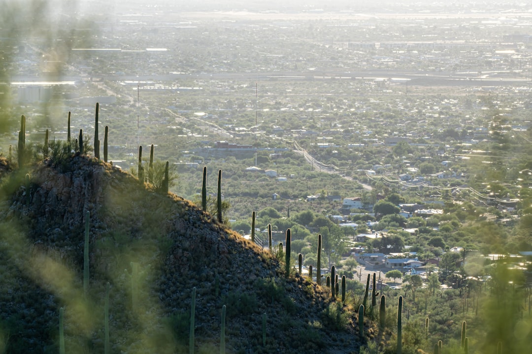 Enhancing Business Efficiency with Cloud Services in the Southwest