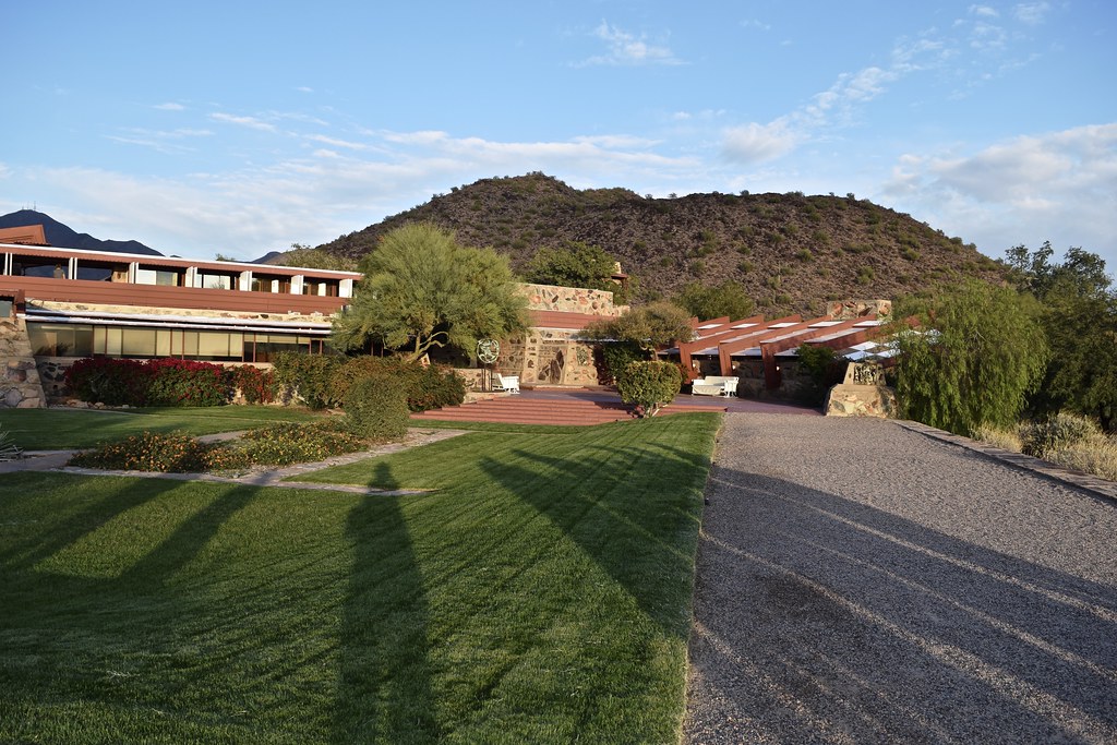 Why Paradise Valley Businesses Should Choose Arccomp as Their MSP Partner