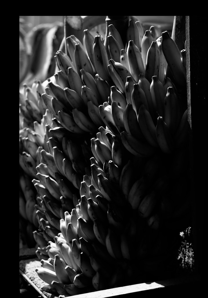 Enhancing Business Marketing Nationwide with AI-Powered Forms and CRM Solutions