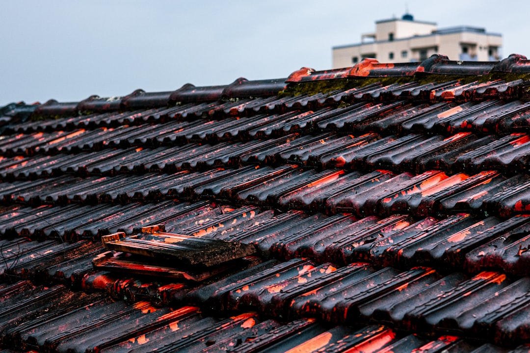 The Rise of Metal Roofing in Phoenix: A Durable Solution for Modern Homes