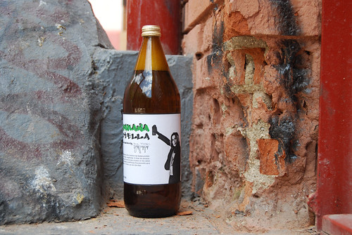 Embracing the Essence of Southwest Interior Designs