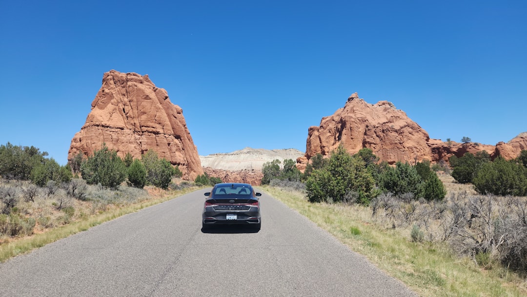 Discovering the Art of Southwest Interior Design with Janet Brooks Design