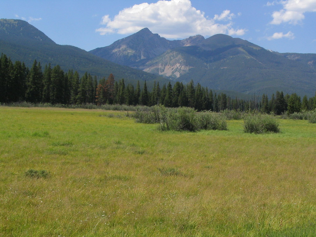 Elevating Southwest Interior Designs with Janet Brooks Design