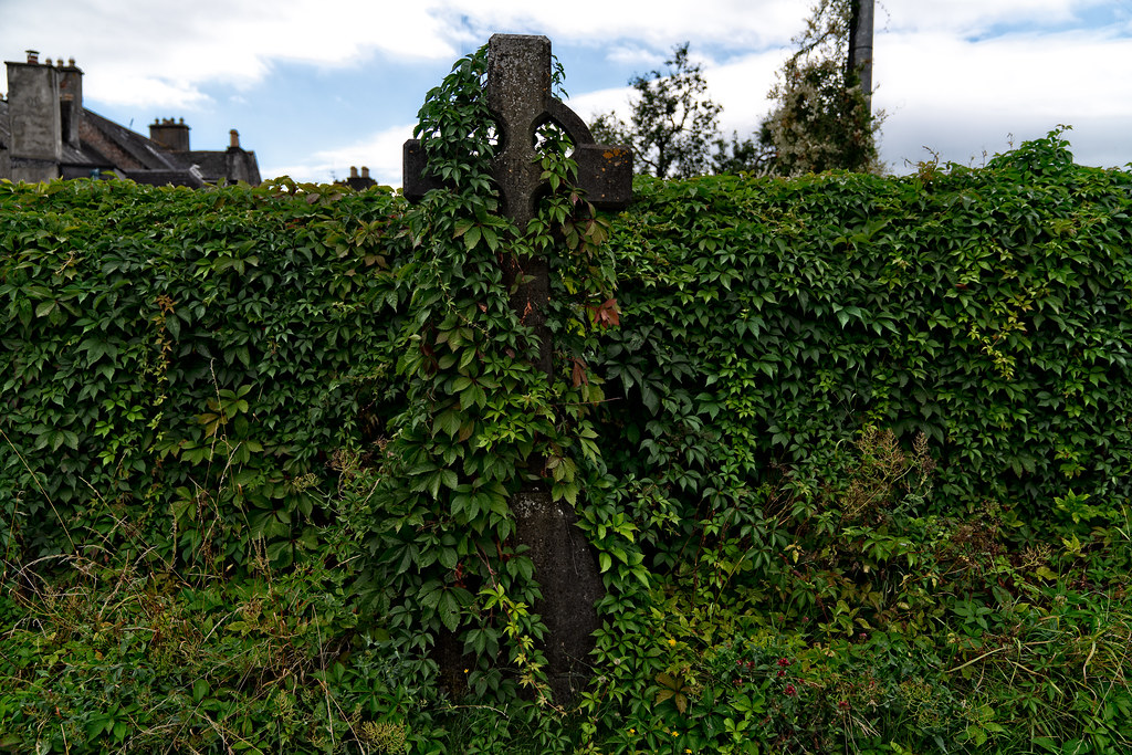 The Hallmarks of Exceptional Interior Design: Insights from Scottsdale’s Top Designers