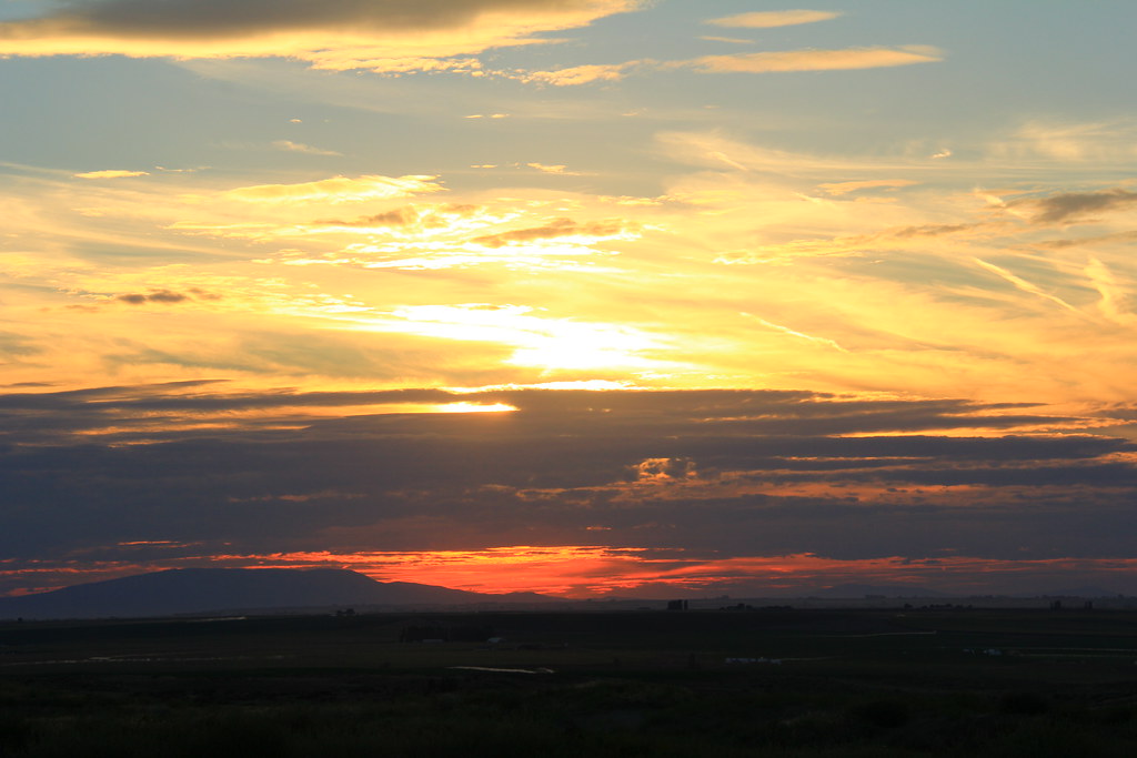 Elevating Southwest Interior Designs: The Signature Touch of Scottsdale Designers