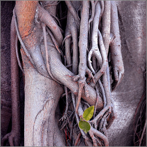 Embracing the Essence of Southwest Interior Designs with Janet Brooks Design