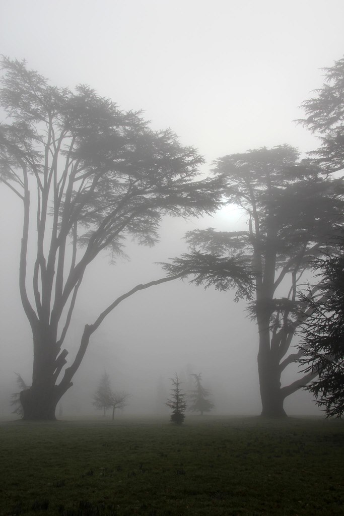 Discovering the Art of Luxury: Scottsdale's Premier Interior Design Experience