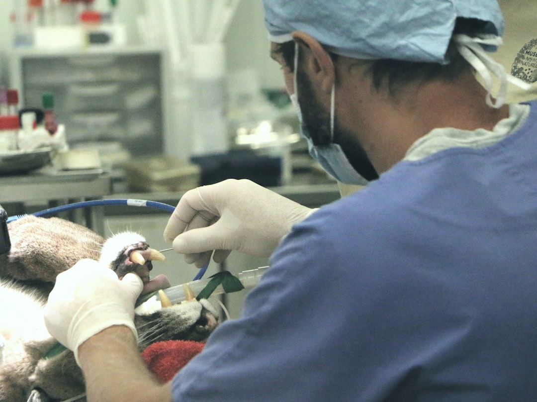 Streamlining the Credentialing Process: A Comprehensive Solution for Medical Groups