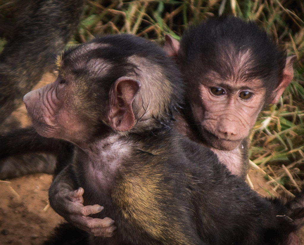 The Importance of Efficient Credentialing in Outpatient Surgical and Clinic Settings