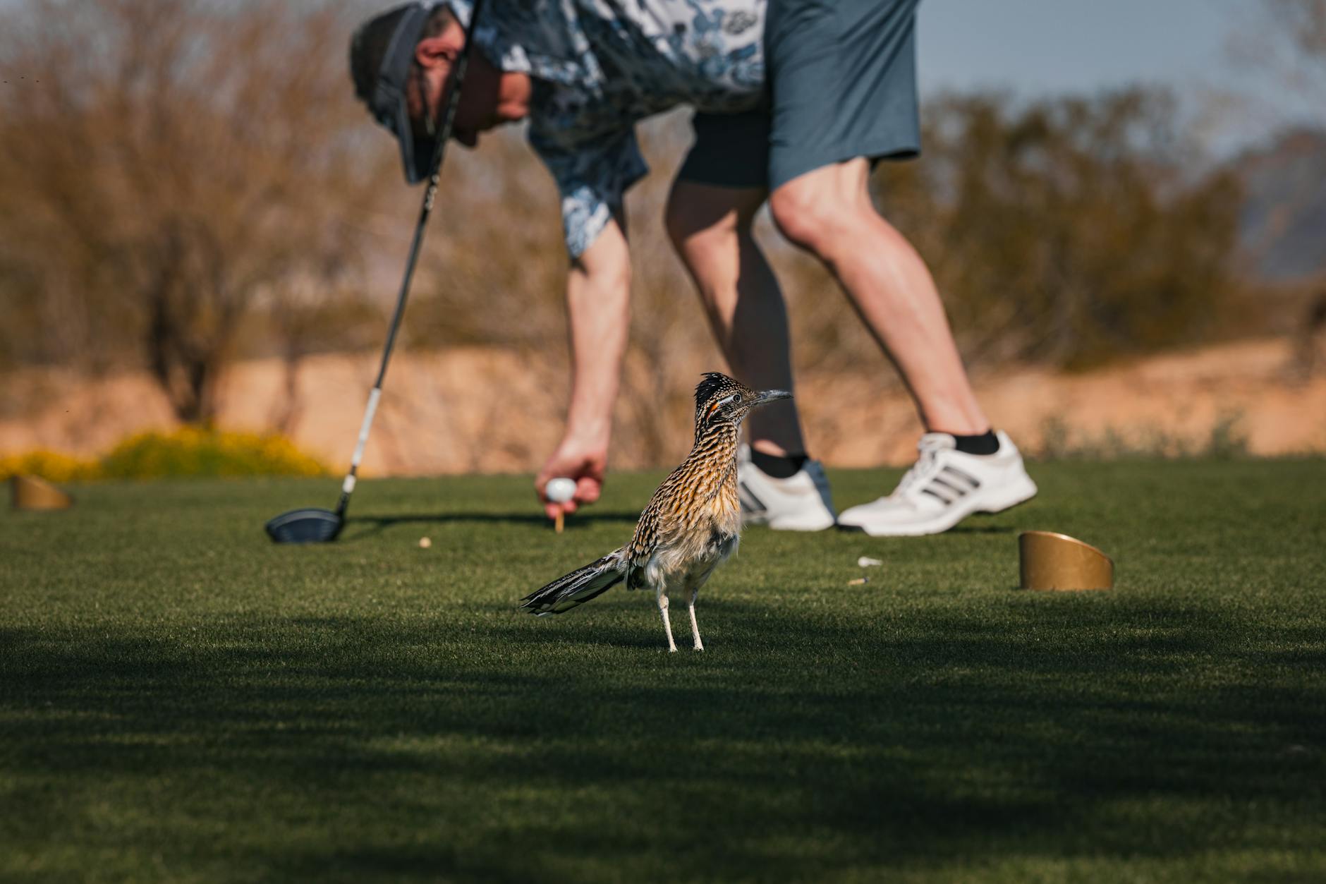 Discover the Elegance of Gainey Ranch: A Luxury Realtor's Guide to Scottsdale's Premier Community