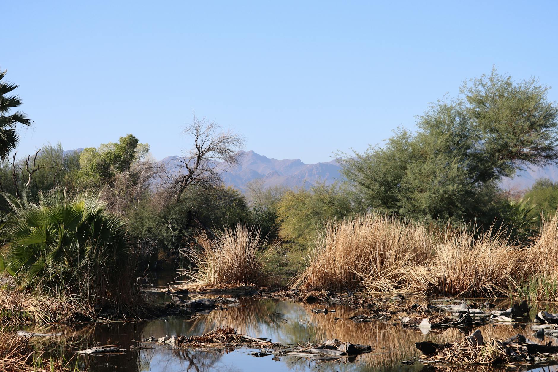 Discovering the Elegance of Gainey Ranch: A Jewel in Paradise Valley Real Estate