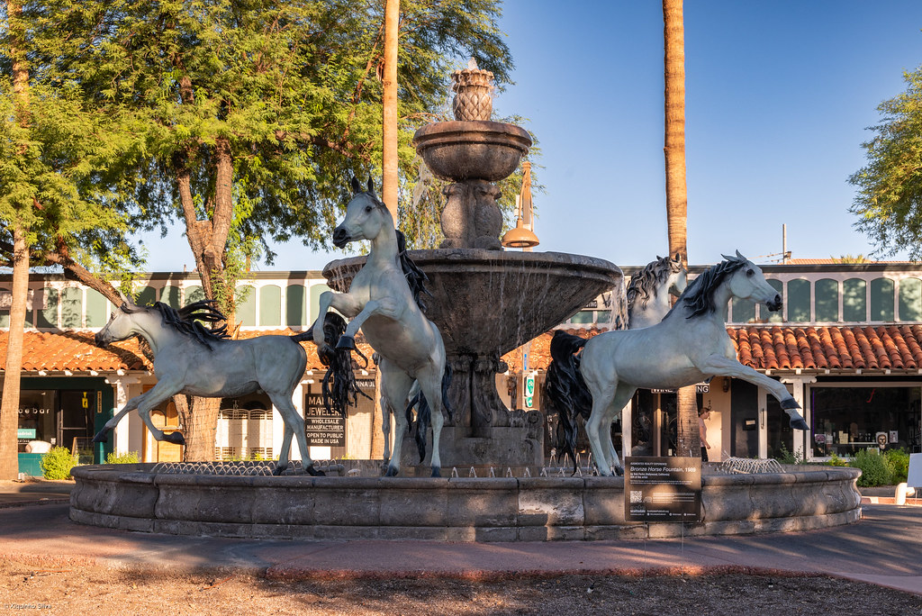 Discover the Allure of Scottsdale Luxury Real Estate with Sandra Wilken Luxury Properties