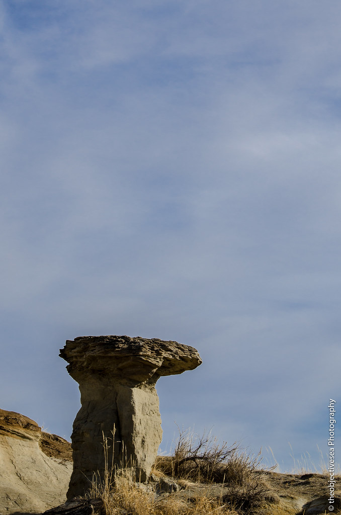 Discover the Unmatched Elegance of Paradise Valley Real Estate