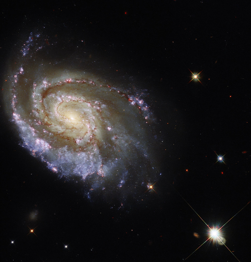 Discover the Elegance of Gainey Ranch with Sandra Wilken Luxury Properties