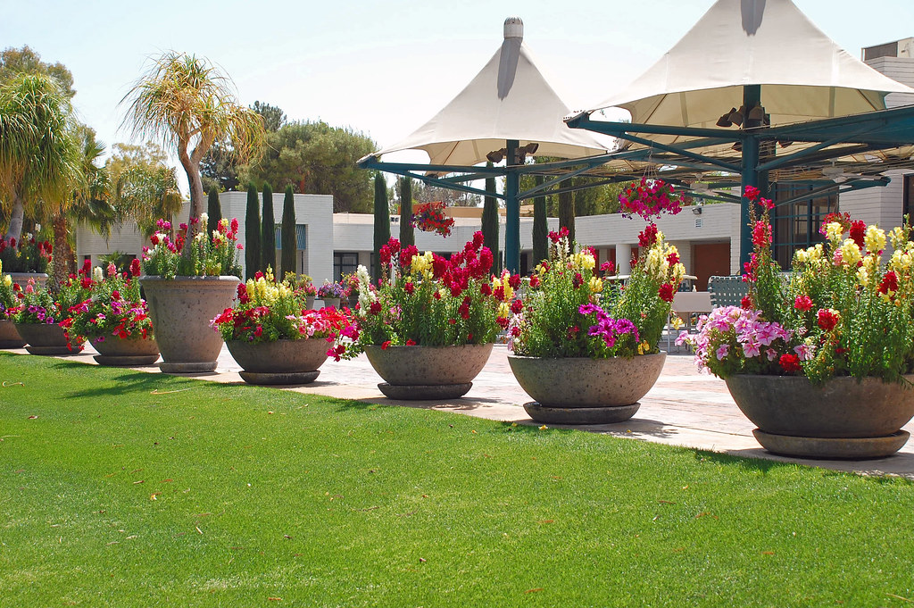 Discover the Pinnacle of Luxury Living in Scottsdale and Paradise Valley