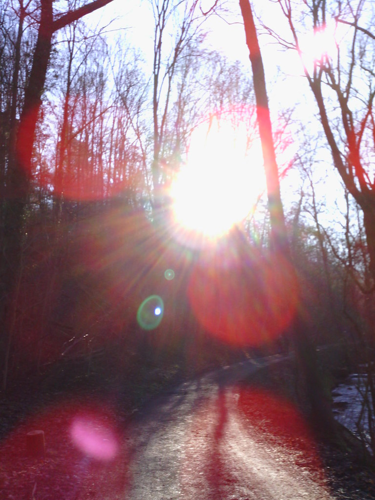 Suns' Season Has Surprised Everyone — Including Kevin Durant - Sports Illustrated