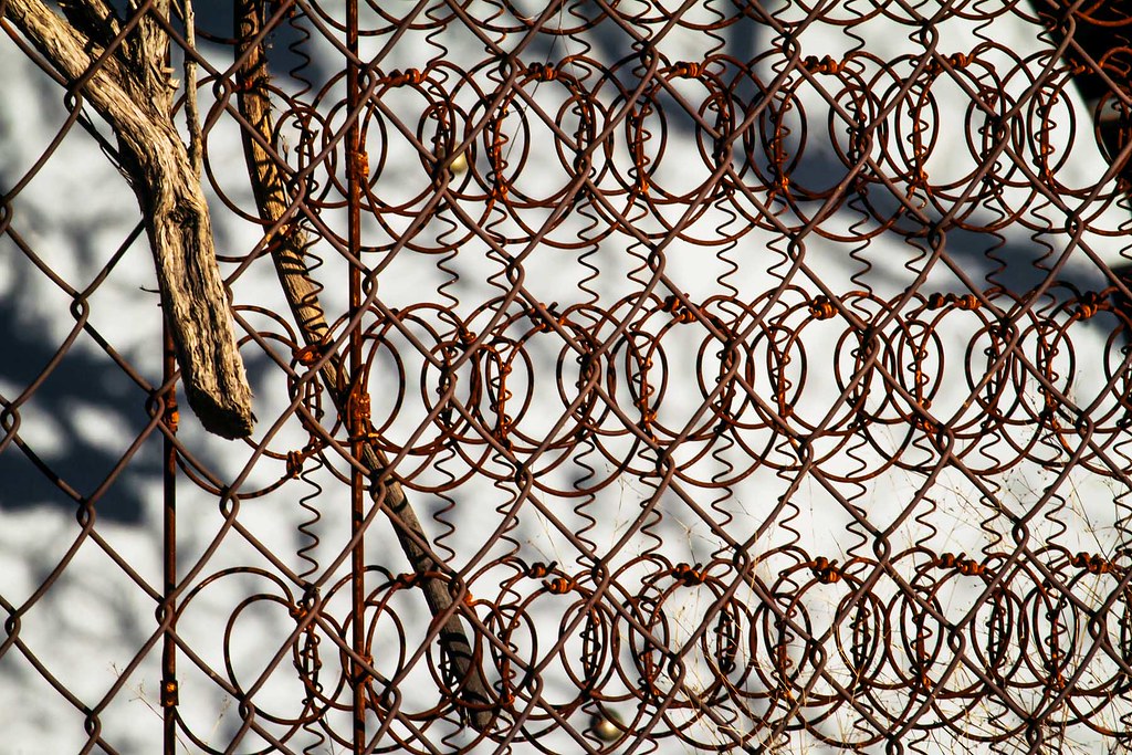 Phoenix Caught Late By Dragons - Elon University Athletics