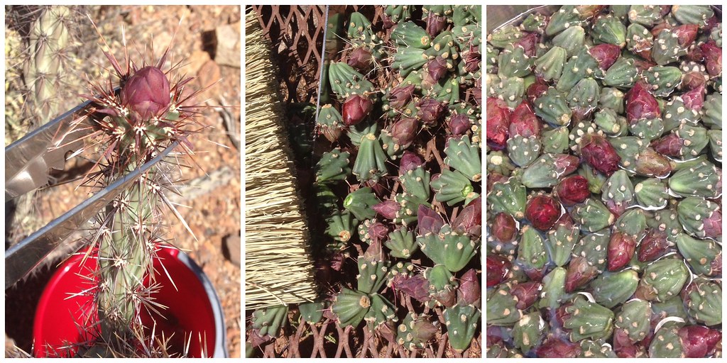 Suns take care of Jazz in commanding win, avoiding play-in still possible - Arizona Sports