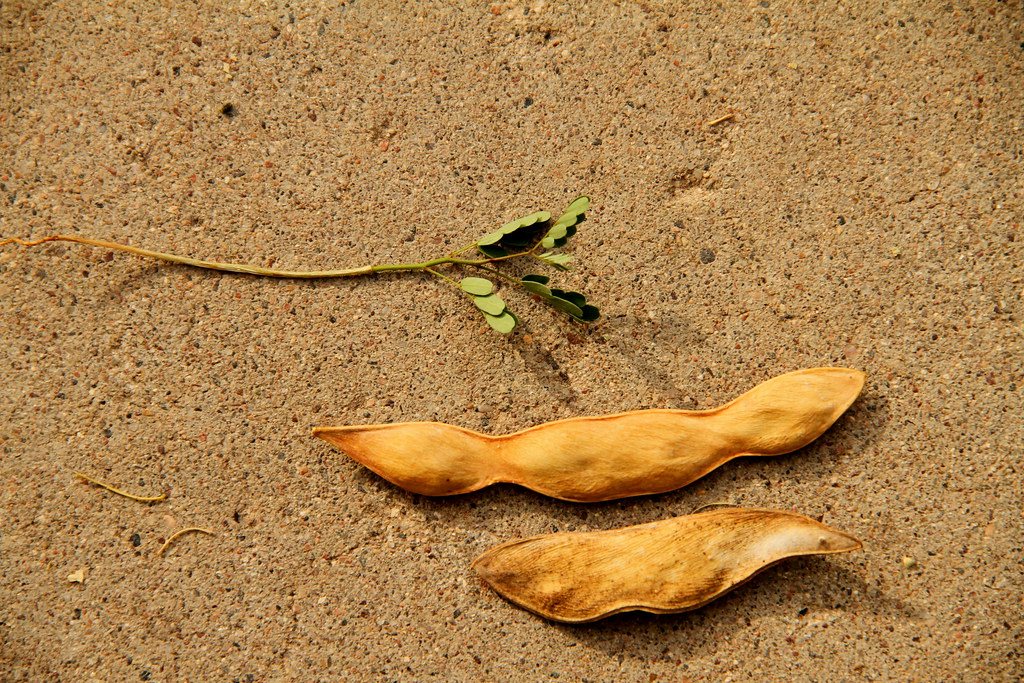 The Phoenix Suns All-Time Pyramid, Tier 5: All-Star Impact - Bright Side Of The Sun