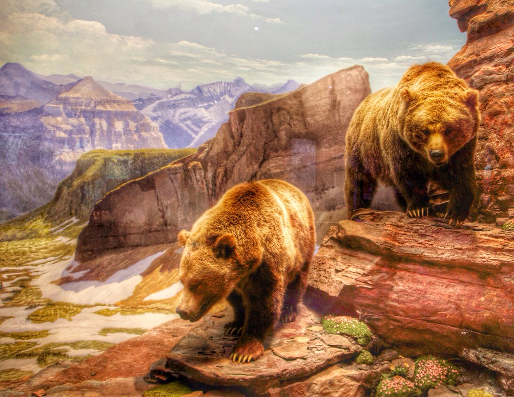 Cubs vs. Rockies at Scottsdale preview, Saturday 3/14, 3:10 CT - Yahoo Sports