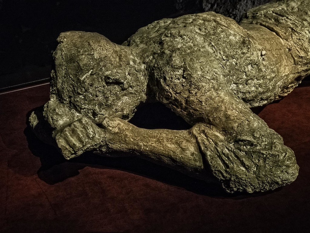 Woman found dead along Phoenix canal: PD - FOX 10 Phoenix