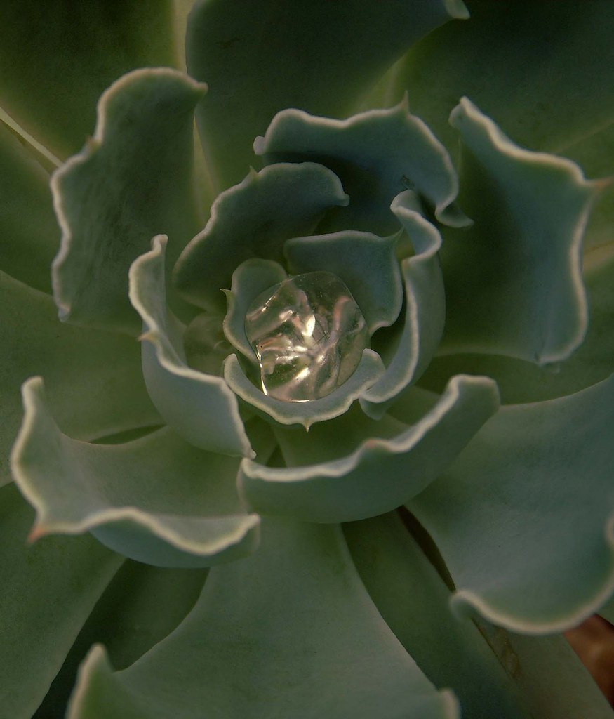 Phoenix Drops Tournament Finale At UNCG - Elon University Athletics