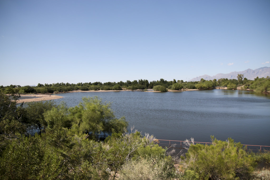 No. 21 Pima baseball splits doubleheader at Scottsdale - ALLSPORTSTUCSON.com