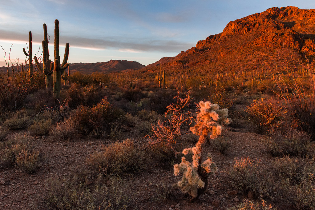 Three Up, Three Down: Drivers in focus leaving Phoenix - NASCAR.com