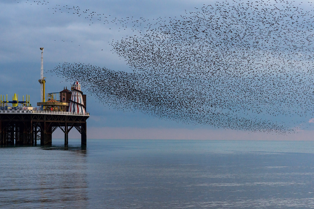 Phoenix Rising comes back to draw with Oakland Roots - PHNX Sports