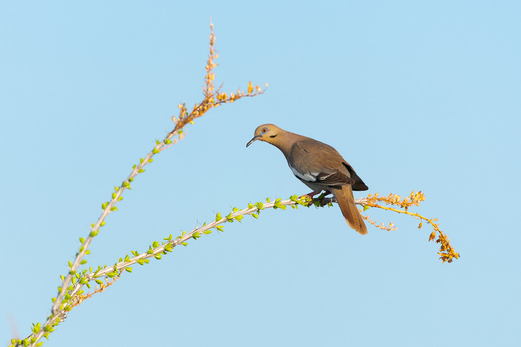 Scottsdale Art Week returns to the Valley - KTAR News 92.3 FM