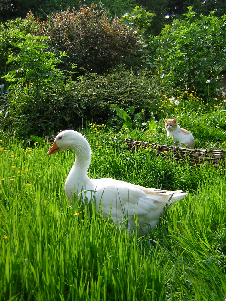 Center Court Pickleball Club to open 4th Valley location in Scottsdale - KTAR News 92.3 FM