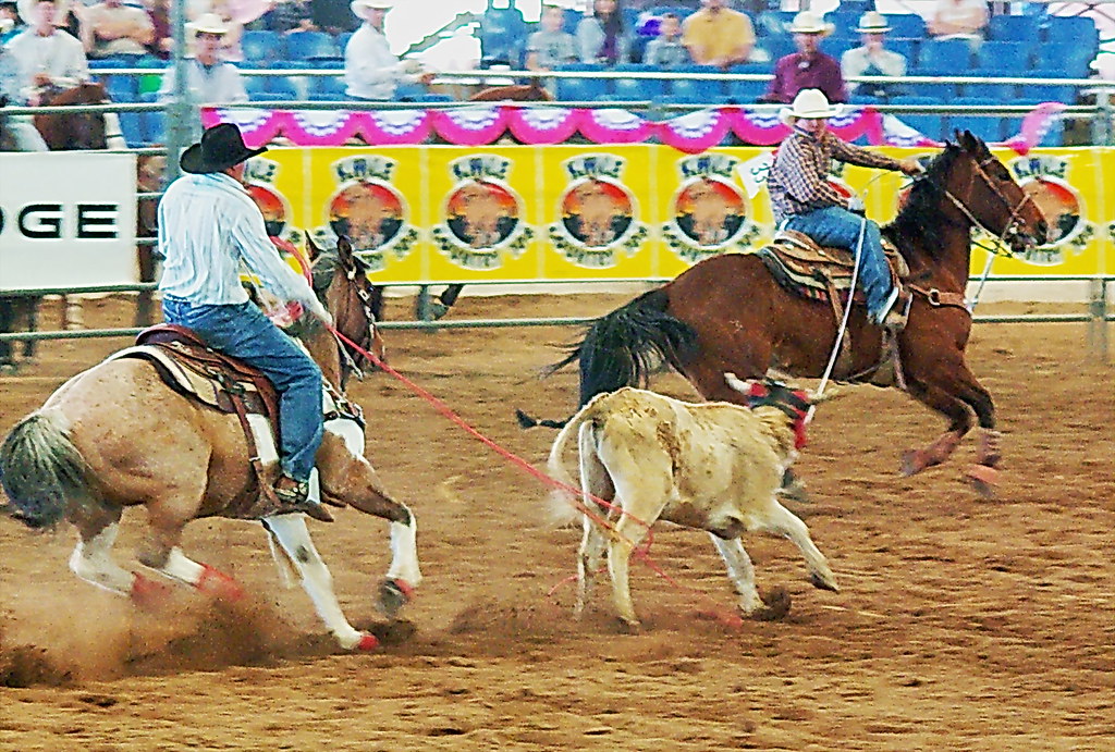 Scottsdale man who pulled gun on mom may have ties to Islamic extremists, prosecutors say - FOX 10 Phoenix