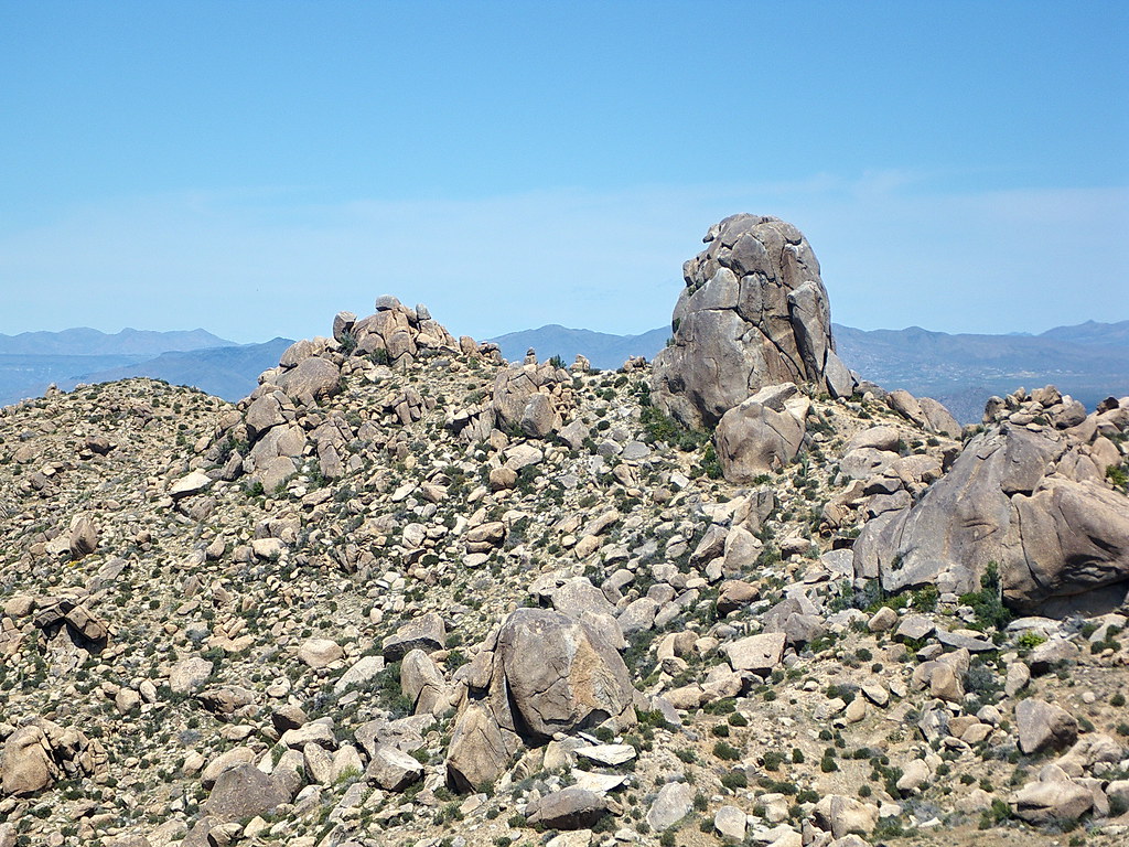 How long are TSA wait times at Phoenix Sky Harbor Airport? See list - The Arizona Republic