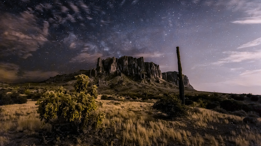 Phoenix Edged By Coastal Carolina - Elon University Athletics