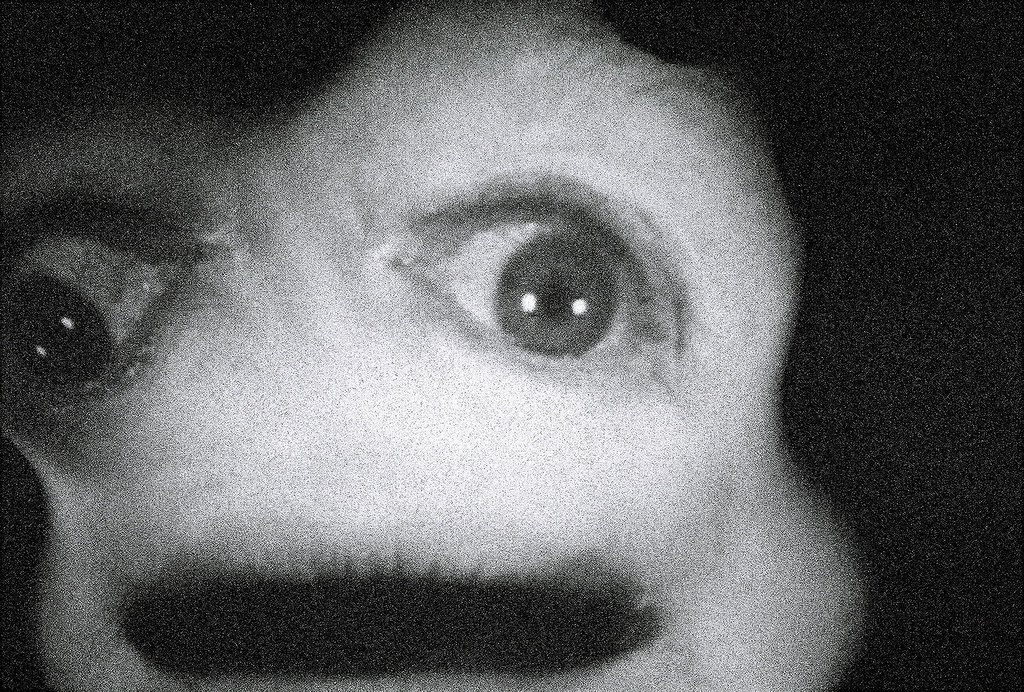 Phoenix Faces Tribe In CAA Championship Second Round - Elon University Athletics