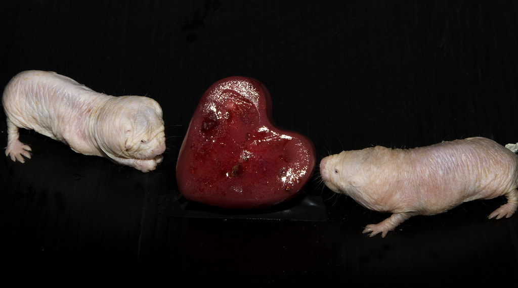 NAM Wraps National Tour in Phoenix Urging Action on Infrastructure and Permitting Reform - National Association of Manufacturers - NAM