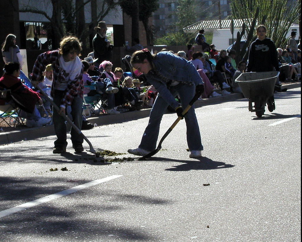 Scottsdale teen wins Congressional Award - Scottsdale Progress