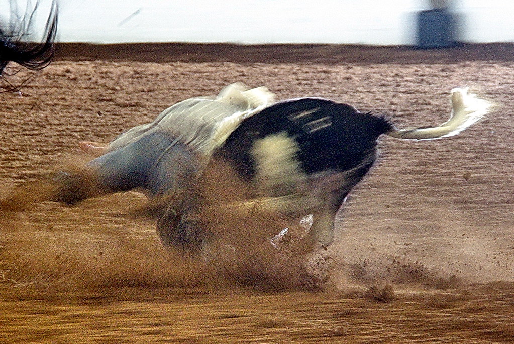 Phoenix Drops Tournament Finale At UNCG - Elon University Athletics