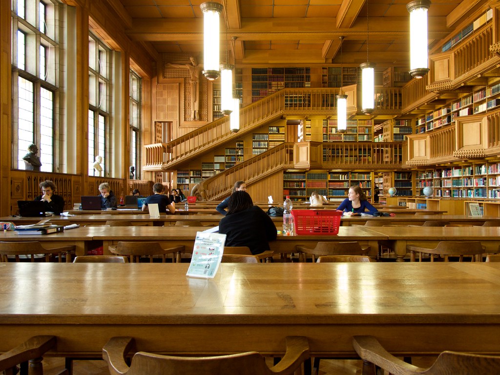 Phoenix Splits Day One At Dugout Classic - Elon University Athletics