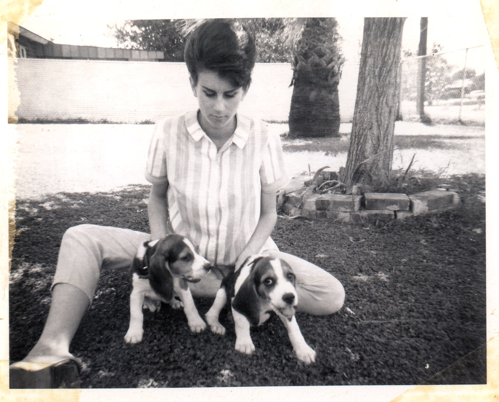 Phoenix Downs Tarleton State In Weekend Finale - Elon University Athletics