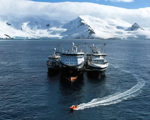 World’s largest krill harvester at centre of row over ‘blue tick’ sustainability label