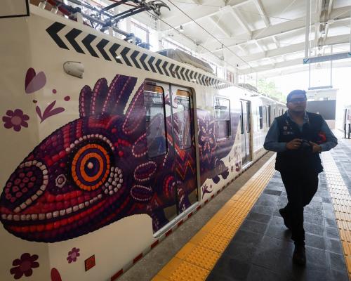 Purple pain: backlash over Mexico City’s ‘axolotlisation’ for World Cup