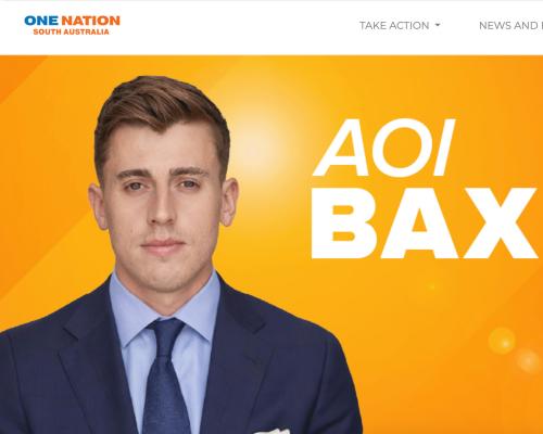 One Nation dumps South Australian election candidate after reports claiming warrant for his arrest in UK