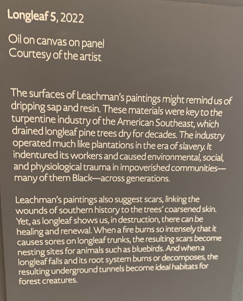 Phoenix ties record for hottest temperature recorded in February - KTAR News 92.3 FM