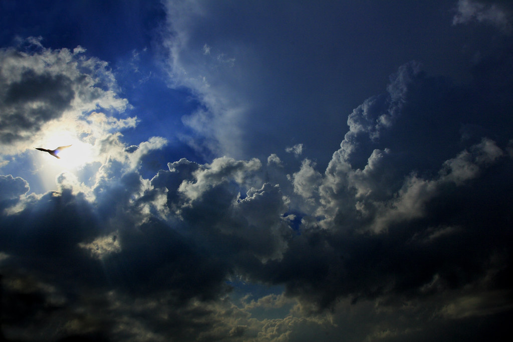 Phoenix Rising drops two points in Orange County draw - PHNX Sports