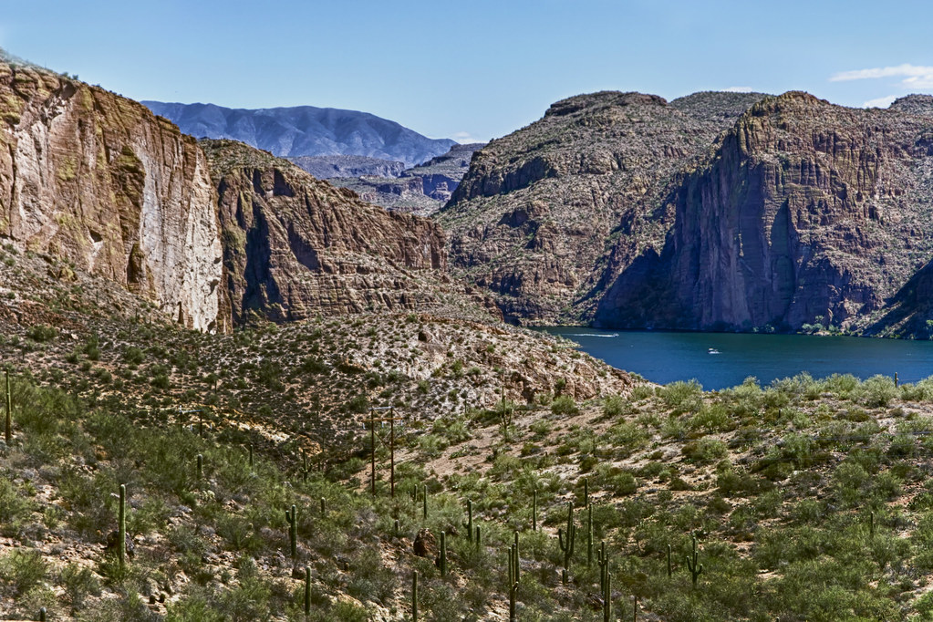 Green Bay Phoenix fall to Minnesota in NCAA Tournament - WBAY