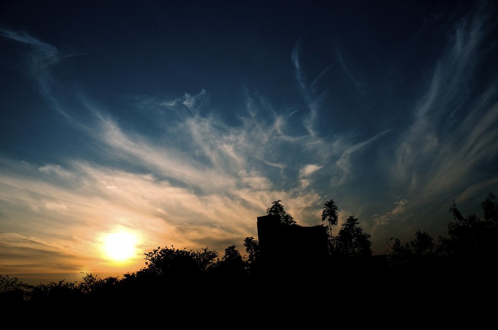 Phoenix Rises Early For Third Straight Win - Elon University Athletics