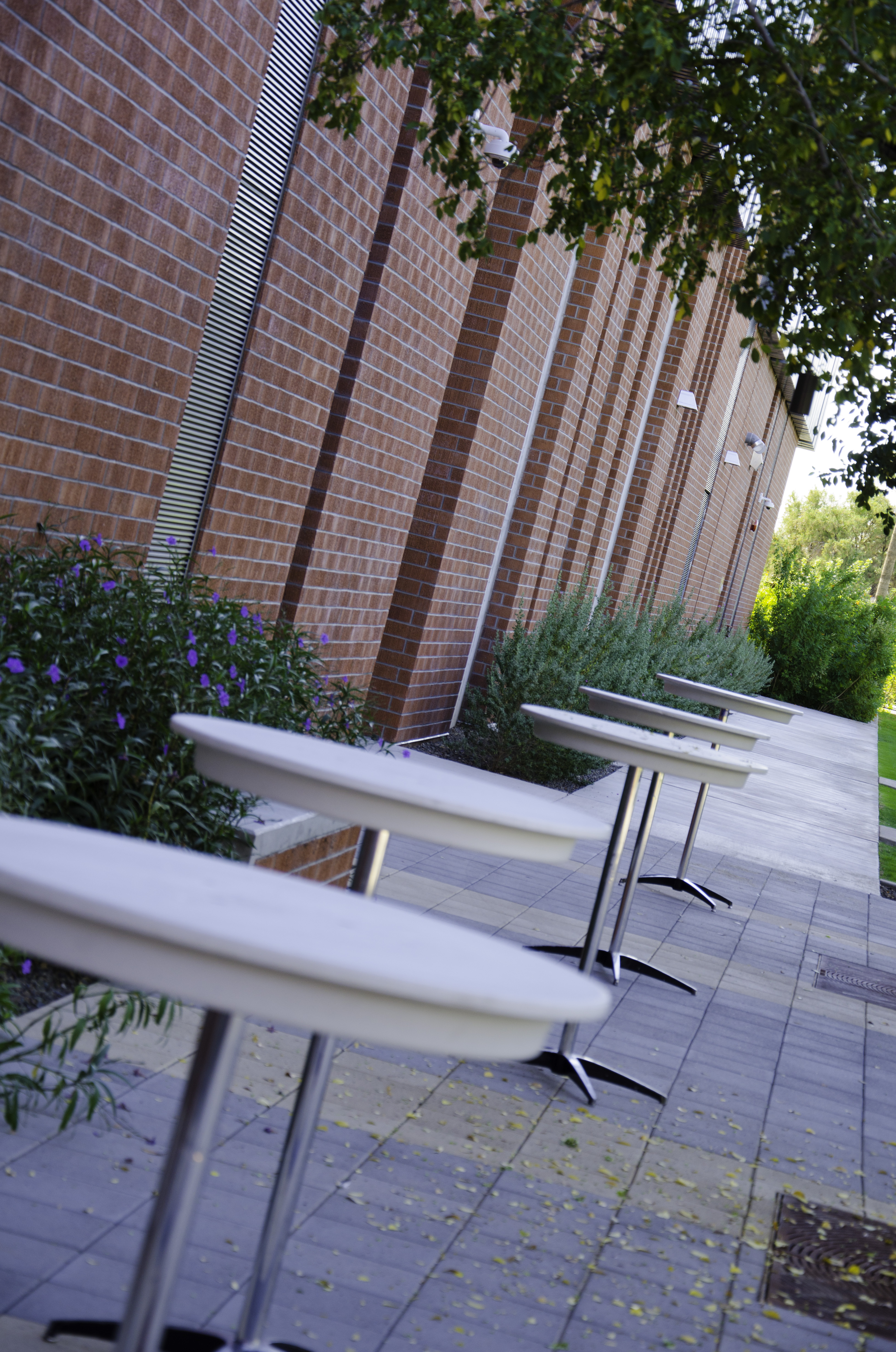 University of Phoenix CIO Jamie Smith Shares How Technology Is Redefining Online Education for Adults on National Podcast - PR Newswire